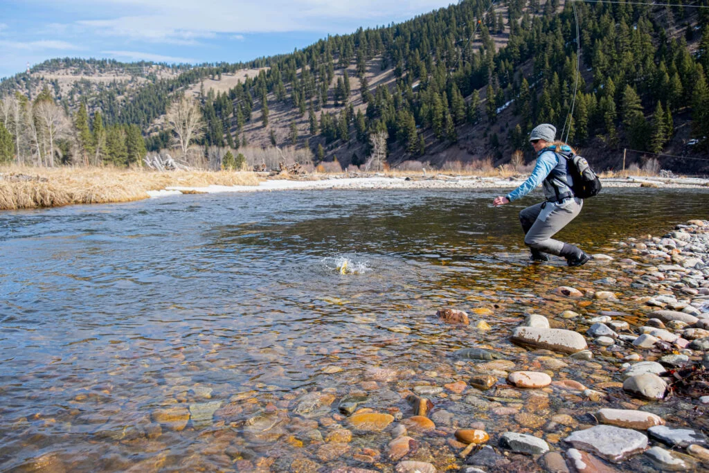 _DSF0364 - Western Ranch Brokers