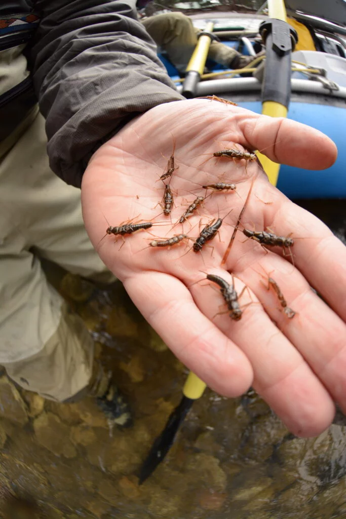 ONT_3179 - Western Ranch Brokers