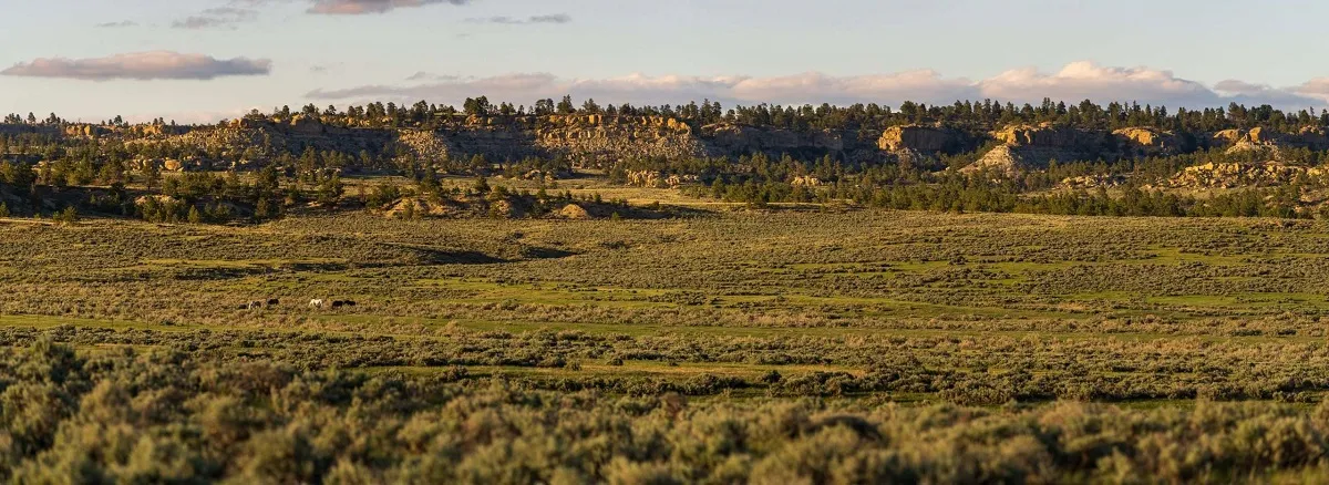 Rocky tree covered landscape of Razor Creek ranch in Montana