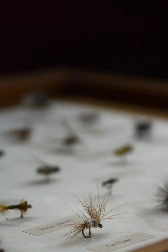 ONT_8534 - Western Ranch Brokers