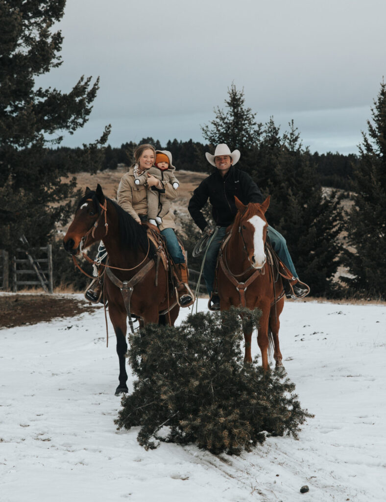 Christmas tree hunting