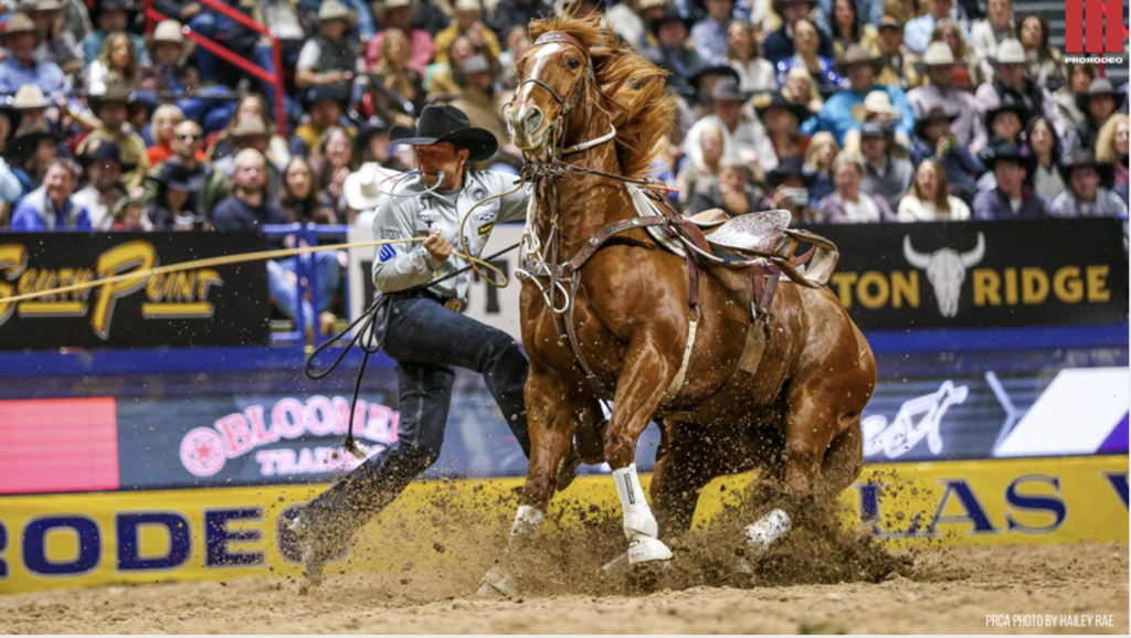 Haven Meged tie down roper - Western Ranch Brokers