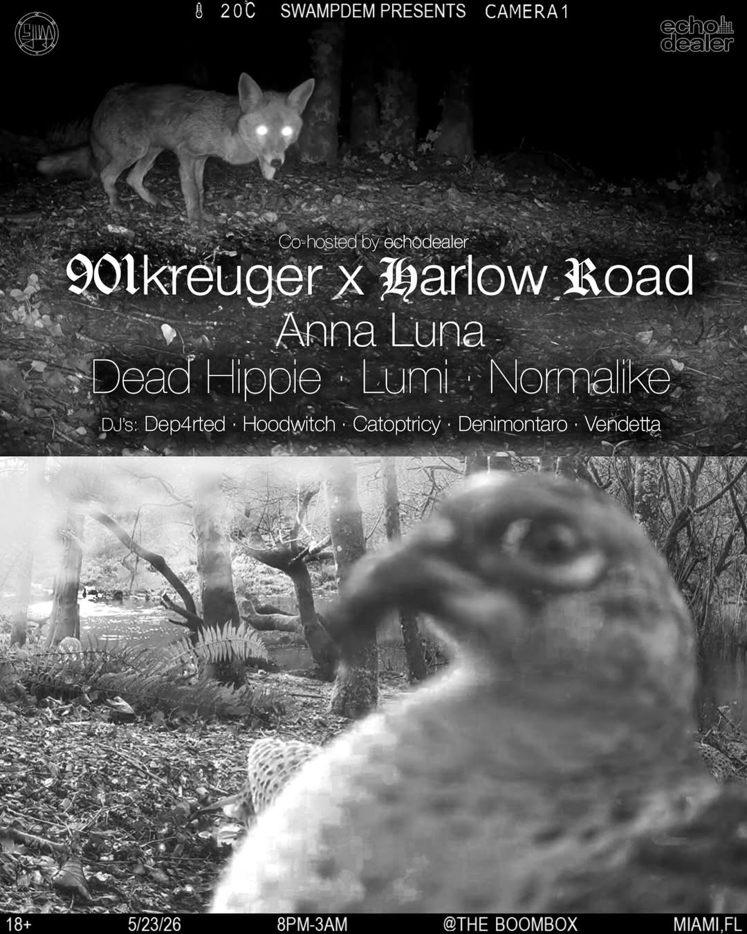 Flyer for CAMERA 01