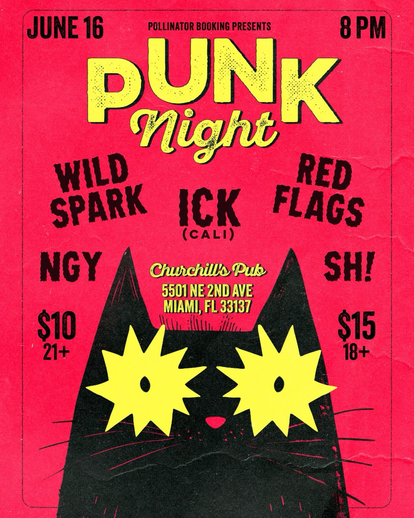 Flyer for Punk Night