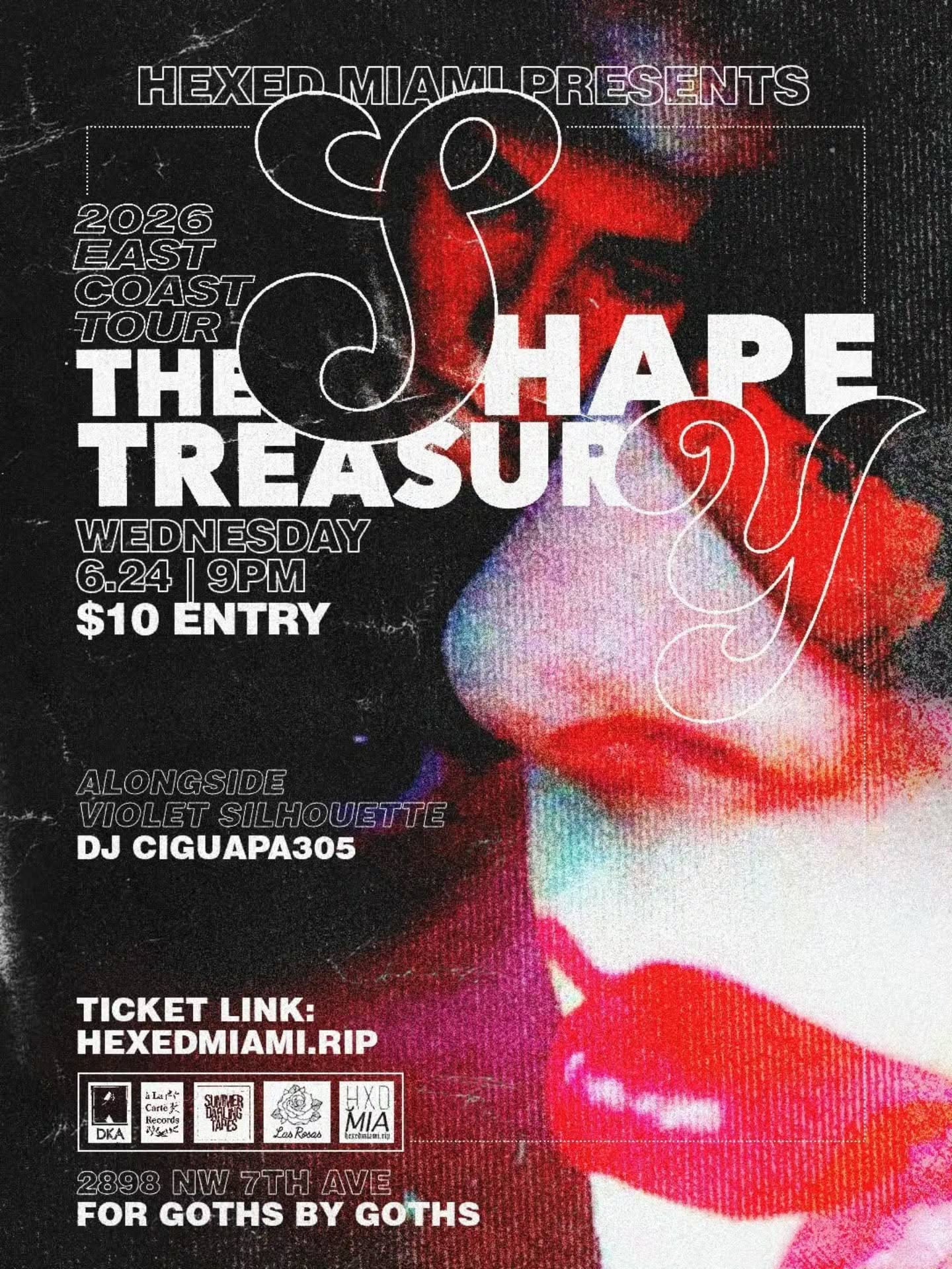 Flyer for THE SHAPE & THE TREASURY SUMMER TOUR