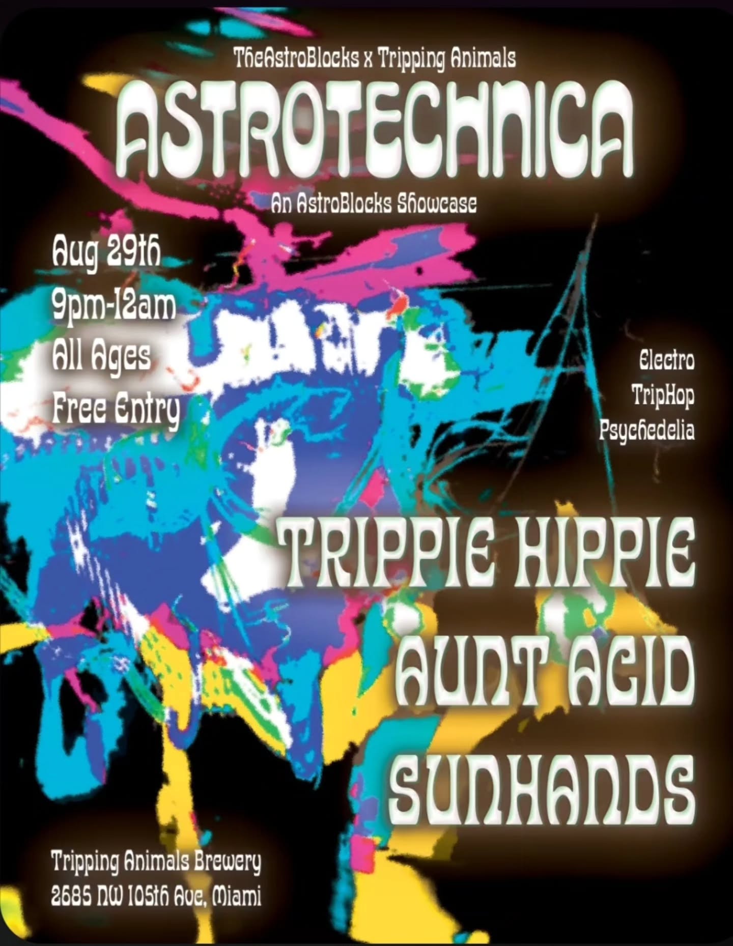 Flyer for AstroTechnica