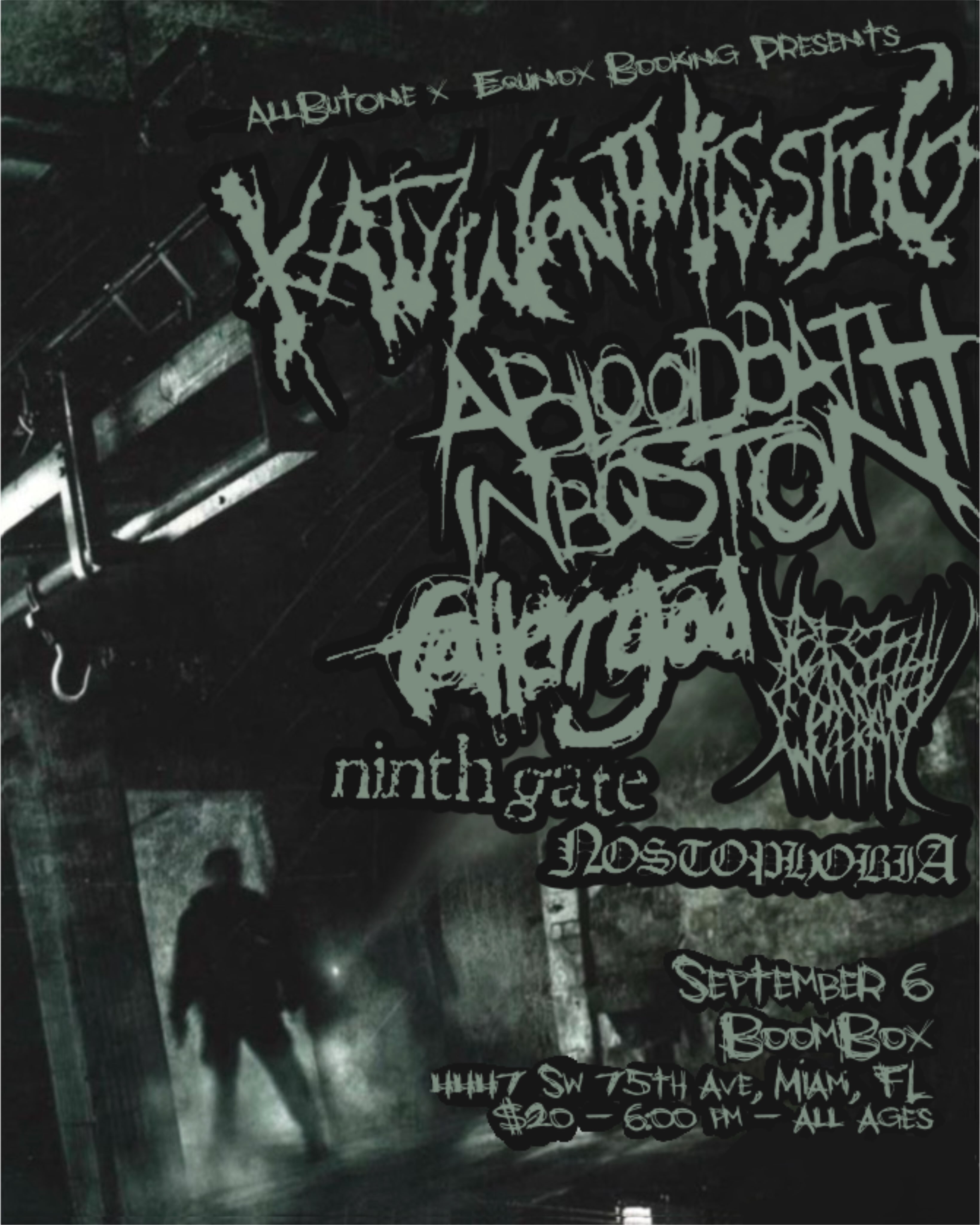 Flyer for Katywentmissing + A BloodBath In Boston +