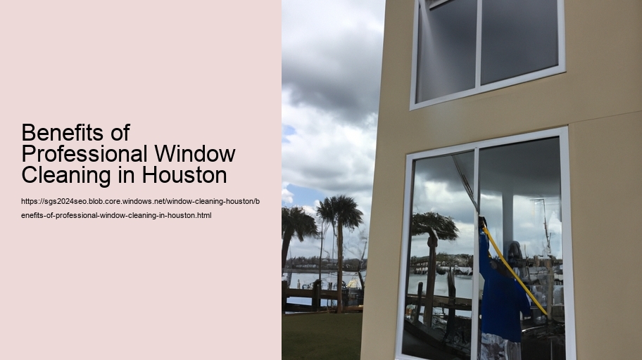 Benefits of Professional Window Cleaning in Houston  