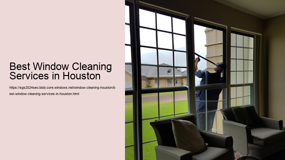 Best Window Cleaning Services in Houston  