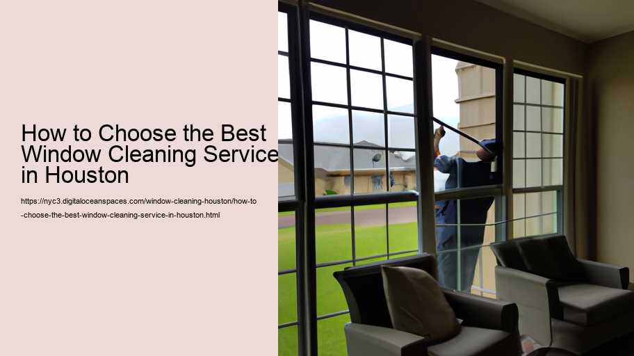 How to Choose the Best Window Cleaning Service in Houston  