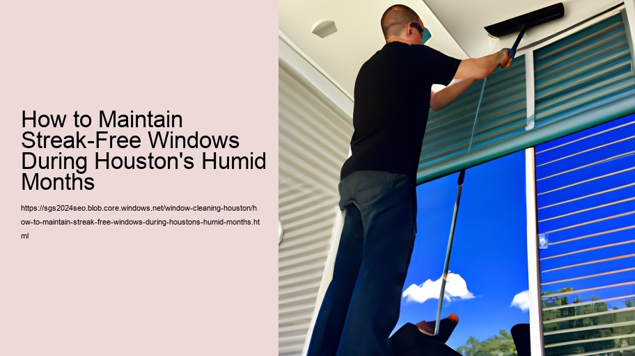 How to Maintain Streak-Free Windows During Houston's Humid Months  