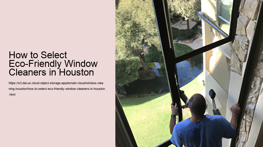 How to Select Eco-Friendly Window Cleaners in Houston  