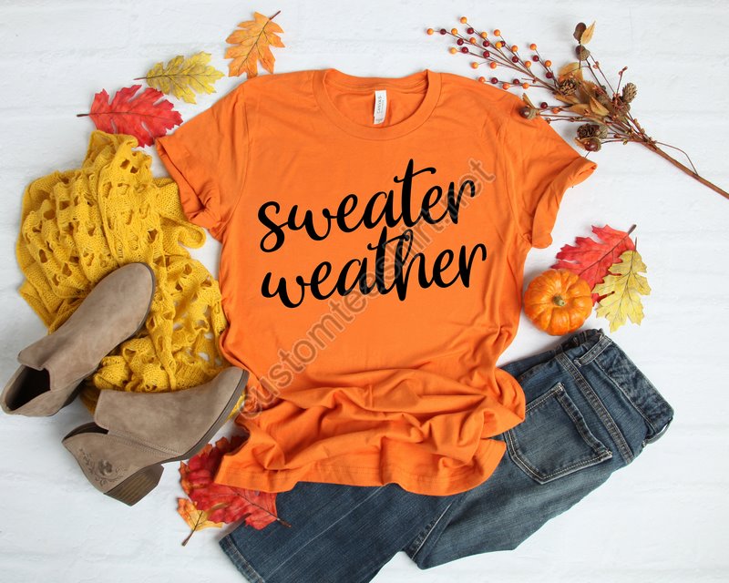 Sweater Weather Shirtthankful Fall Fall Shirtfall Family Shirts Thanksgiving Shirts Blessed Shirtcute Fall Shirt