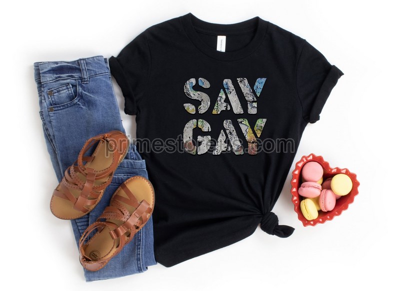 Say Gay Shirt Florida Say Gay Lgbtq Ally Gay Rights Protect Gay Kids Teacher Shirt Counselor Shirt Therapist Shirt