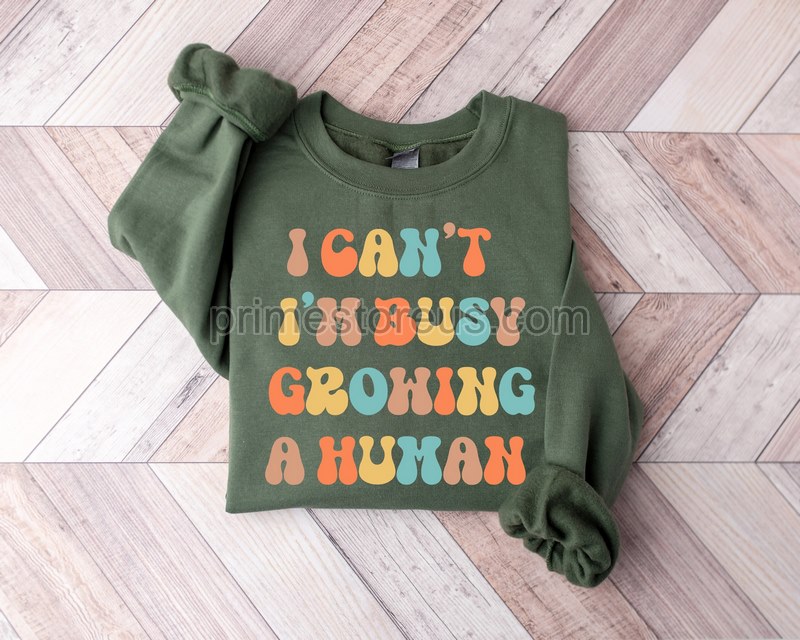 I Can't I'm Busy Growing A Human Shirtpregnancy Announcementshirts For Mom Pregnancy Shirtmothers Daypregnancy Revealnew Mom Gift