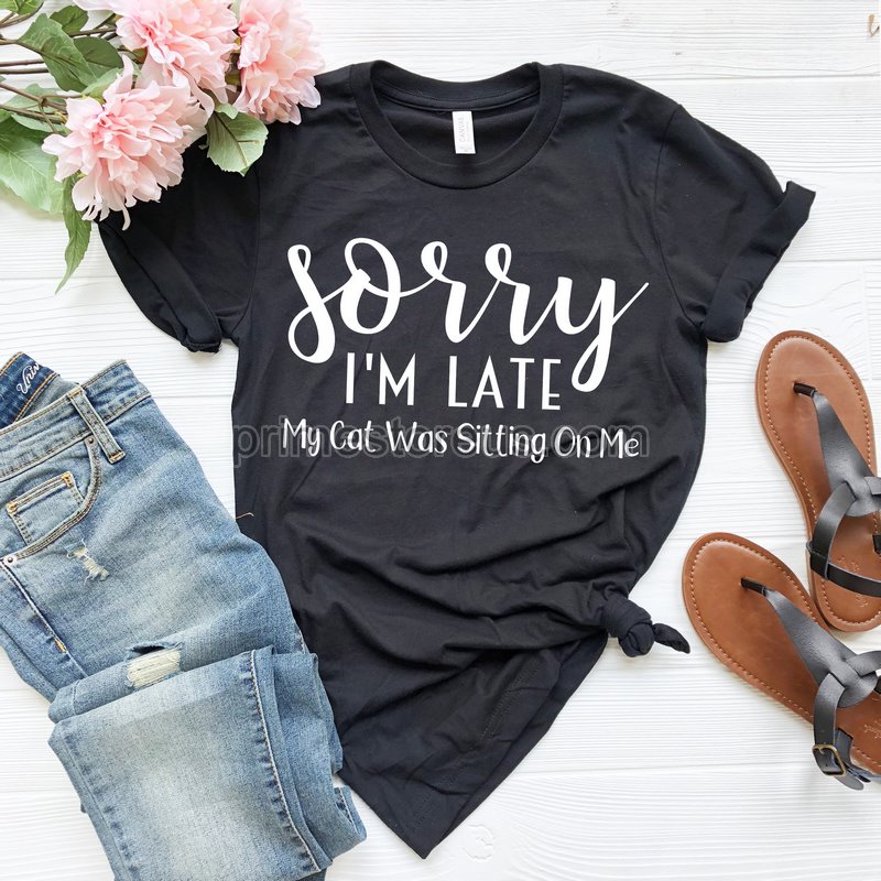 Sorry I'm Late My Cat Was Sitting On Me Shirt Funny Cat Shirt Cat Mom Shirt Cat Owner Shirt Cat Lover Shirt Women's Graphic Tee