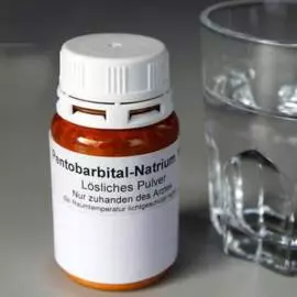Nembutal and pentobarbital sodium +27661632024