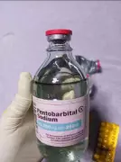 Nembutal pentobarbital sodium for humans and vetinary farms
