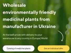 Sale of medicinal plants in bulk from the manufacturer at the best prices
