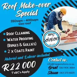 Roof Painting and Water proofing