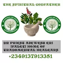 The best powerful spiritual herbalist in Nigeria +2349137913351