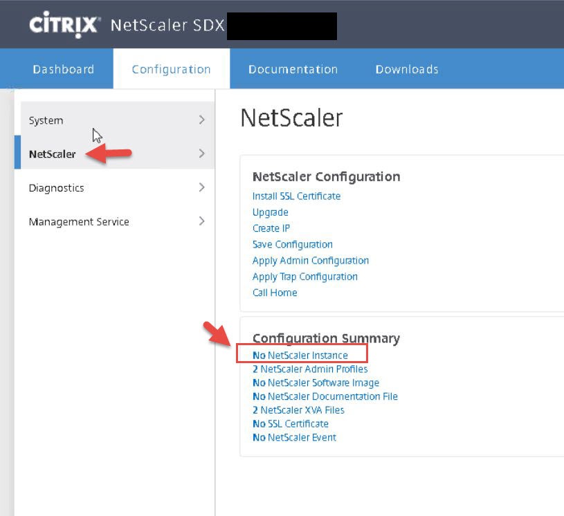 NetScaler SDX Configuration summary reporting "No NetScaler Instance"