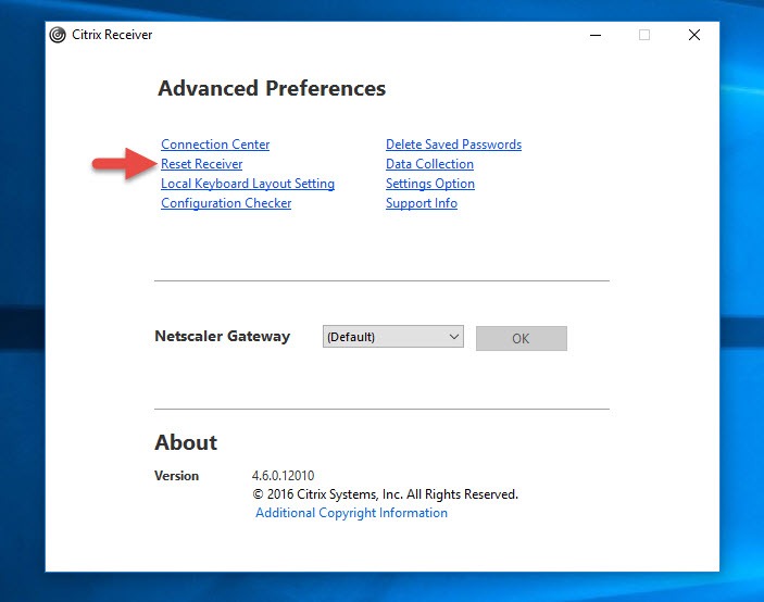 Citrix Receiver Advanced Preferences window with the Reset Receiver link highlighted