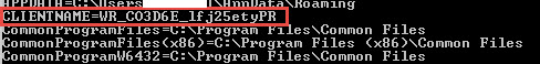 Command output showing CLIENTNAME set to WR_ followed by a randomly generated ID after a web browser launch