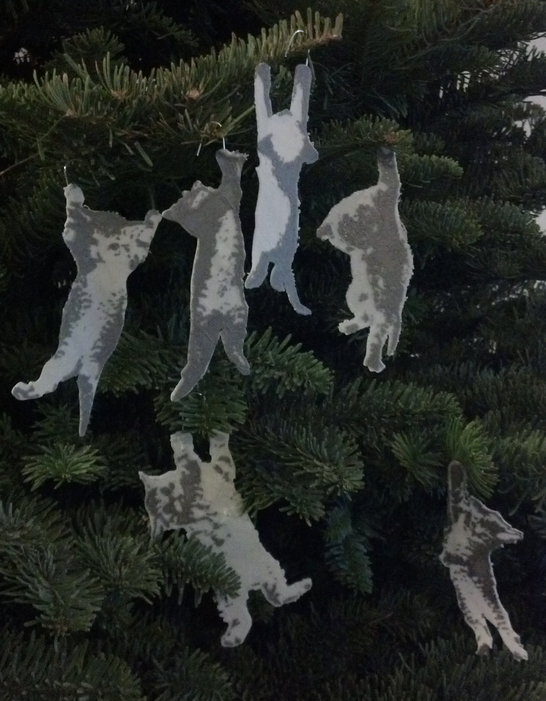 Hang In There Kitty Ornaments
