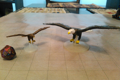 Eagles and Hawks for Tabletop Gaming