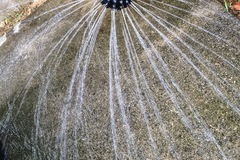 shower head of watering pod