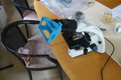 Camera holder for microscope ocular photography