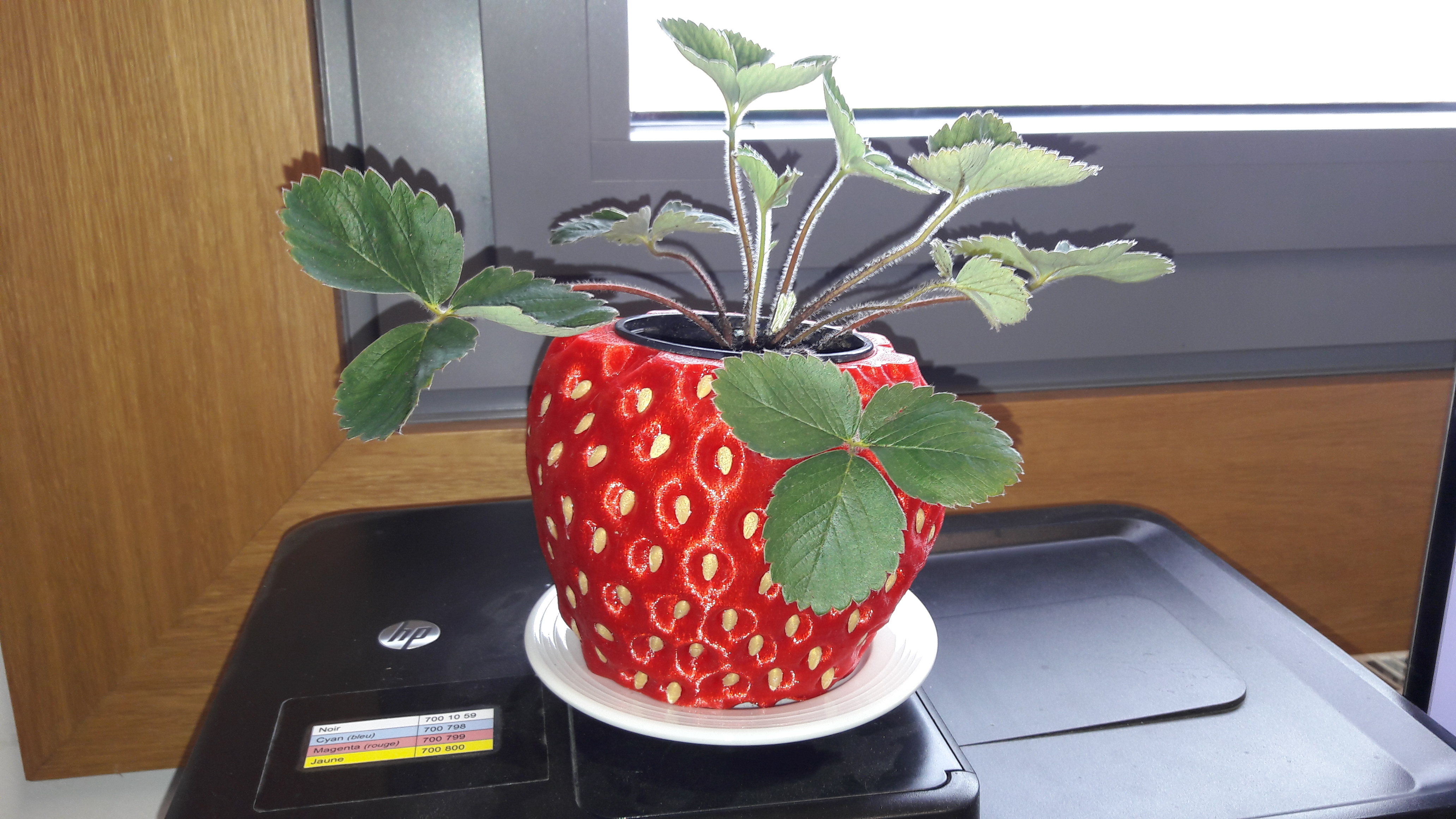 strawberry Pot-holder