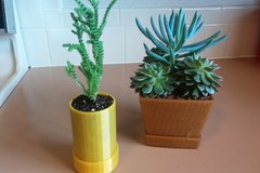 Small Planter Collection