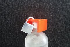 Bottle lock