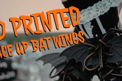 Lace Up Bat Wings