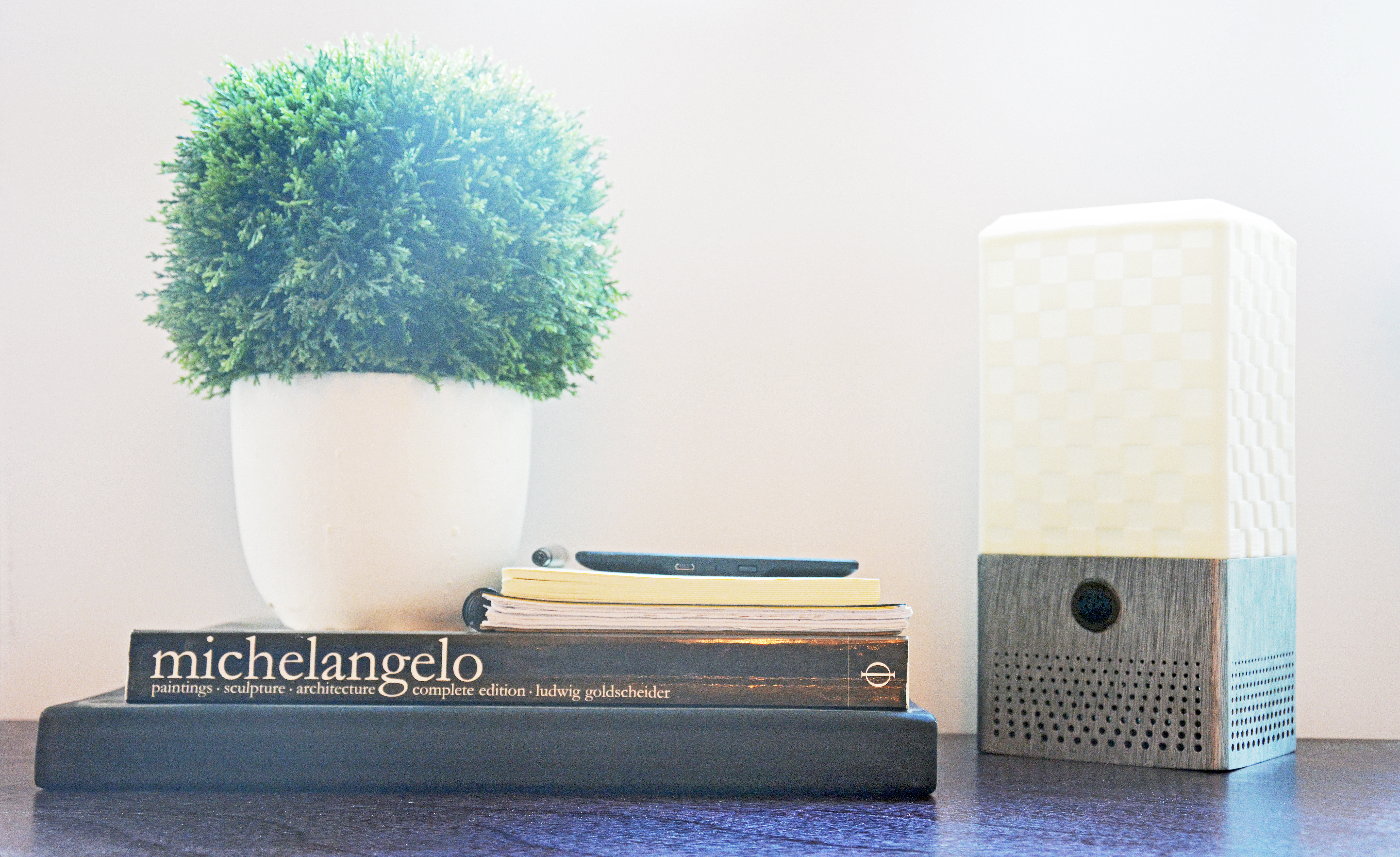 Smart Speaker + Lamp (Google Home or Amazon Alexa)