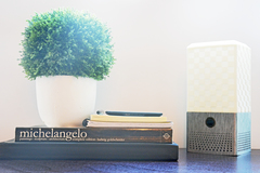 Smart Speaker + Lamp (Google Home or Amazon Alexa)