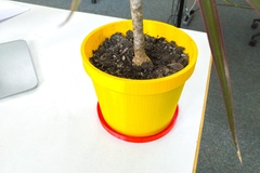 Parametric Plant Pot