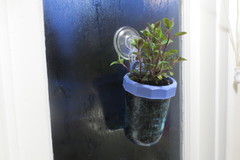 Hanging Mason Jar Window Planter