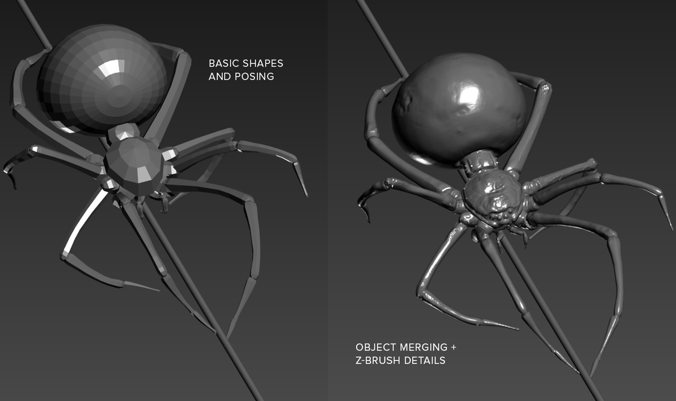 Detailed Spider + web