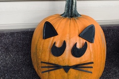 Mr. Pumpkin Head/Halloween Cat Pumpkin Face/Kids Halloween Craft