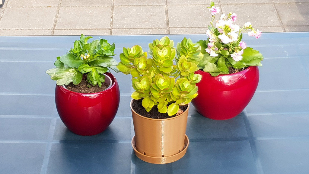 Classic Brown Plant Pot & Water Dish