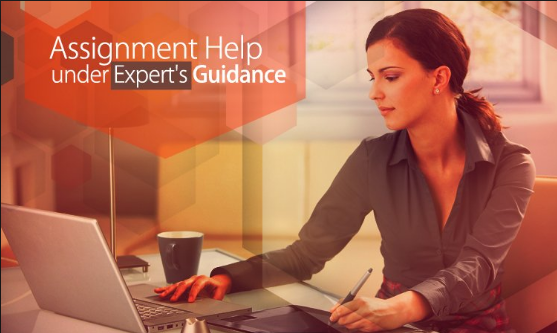Top Assignments Experts UK