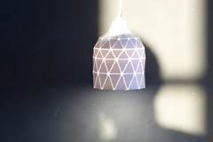 Wireframe lampshade