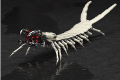 Mechanical Centipede