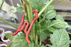 Plant clip