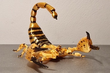 Gold Scorpion by Ed-sept7