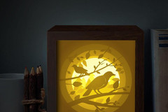 bird lightbox