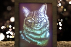 Cat Portraits (Cat Head) light box